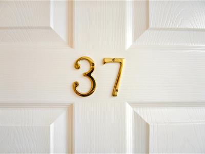 Picture 7